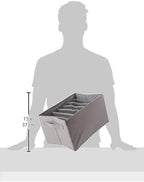 Amazon Basics Underwear Drawer Organizer Dividers for Closet Organization and Storage, Fits Perfectly in Dresser, 2-Pack, Gray | Pack of 2