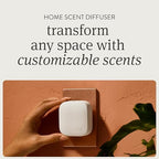 Drift Home Scent Diffuser Refills – Macadamia Swirl (2 Pack) - Long-Lasting Home Diffuser - Clean Fragrance - Non-Toxic - Pet-Safe