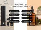 Scentiment Diffuser Oil - Cranberry Crush Fall Collection | Aromatherapy Home Fragrance | Luxurious Scent with Notes of Berries, Ginger, Lime (20ml)