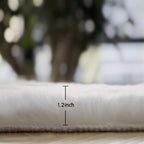 White Faux Fur Rug 5x7 Rugs for Living Room Shag Washable Area Rug Fuzzy Rugs for Bedroom Girl Room Decor Rectangle Rug