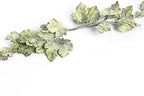 Factory Direct Craft Set of 3 Artificial Grape Leaf Swags for Tuscany Vinyard Decorating | Size: 24" W