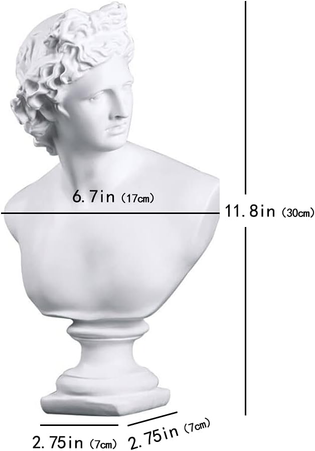 11.8 Inch Classic Greek White David Man Bust Statue, Large Resin Roman Goddess Apollo Sculpture for Home Décor