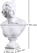 11.8 Inch Classic Greek White David Man Bust Statue, Large Resin Roman Goddess Apollo Sculpture for Home Décor