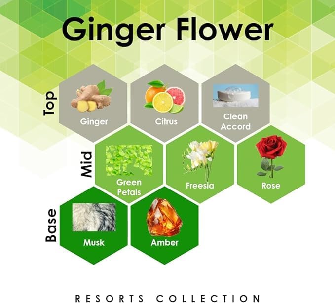 Aroma Retail Fragrance Oil Refill for Scent Machine Aroma Diffuser (4 fl oz, Ginger Flower)