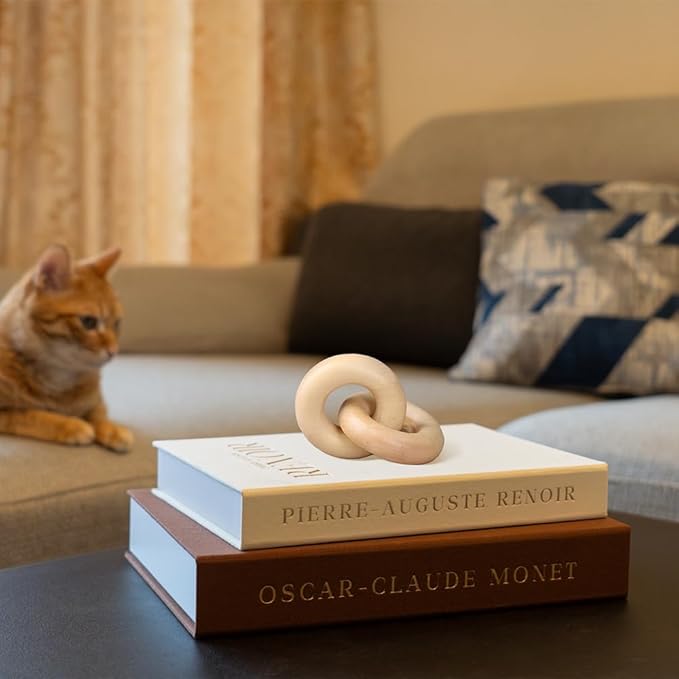 Aesthetic Decorative Books - Set of 2 Linen Fake/Faux Books Enhance Your Coffee Table, Living Room, Bookshelf, Bedside Table or Mantle, Stackable Modern Home Decor, Photo Storage and as a Keepsake Box