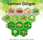 Aroma Retail Fragrance Oil Refill for Scent Machine Aroma Diffuser (27 fl oz, Lemon Ginger)