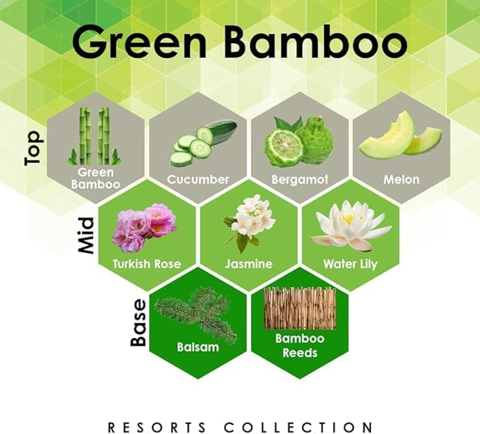 Aroma Retail Fragrance Oil Refill for Scent Machine Aroma Diffuser (27 fl oz, Green Bamboo)