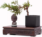 Chinese Solid Wood Display Stand Square Rosewood Vase Teapot Fishbowl Pedestal Indoor Home Deocr Base