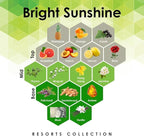 Aroma Retail Fragrance Oil Refill for Scent Machine Aroma Diffuser (4 fl oz, Bright Sunshine)