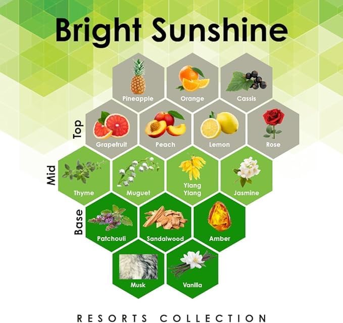 Aroma Retail Fragrance Oil Refill for Scent Machine Aroma Diffuser (27 fl oz, Bright Sunshine)