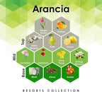 Aroma Retail Fragrance Oil Refill for Scent Machine Aroma Diffuser (4 fl oz, Arancia)