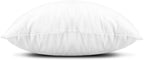 Edow Throw Pillow Insert, Lightweight Soft Polyester Down Alternative Decorative Pillow, Sham Stuffer, Machine Washable 20x20 (White, 1 Count (Pack of 1))