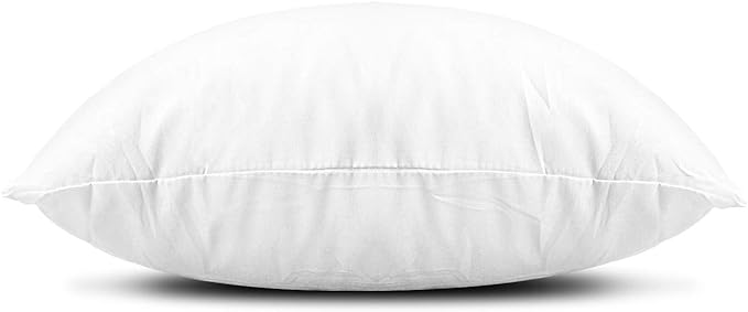 Edow Throw Pillow Insert, Lightweight Soft Polyester Down Alternative Decorative Pillow, Sham Stuffer, Machine Washable 22x22 (White, 1 Count (Pack of 1))