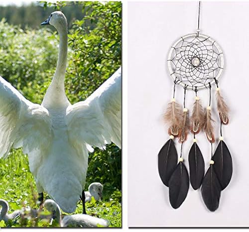 Black Dream Catchers Hanging Decoration Ornament for Girls Boys Kids Adult