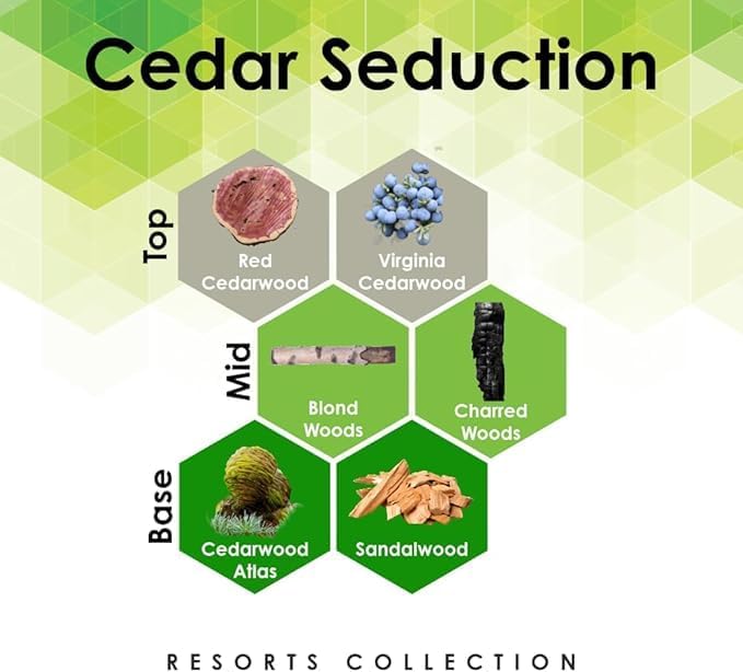 Aroma Retail Fragrance Oil Refill for Scent Machine Aroma Diffuser (4 fl oz, Cedar Seduction)