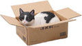 JXK Inbox Cat Statue Small Cat Figurine for Table Decor Durable Polyresin with Intricate Details Gifts for Cat Lovers