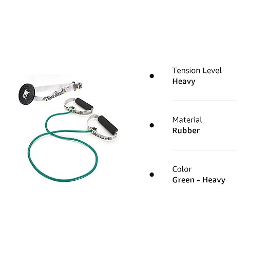 THERABAND Resistance Tubing with Soft Handles, Green, Heavy Level, 48" Latex Stretch Resistance Bands for Exercise, Professional Workout Bands for Upper & Lower Body, Color-Coded Levels