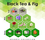 Aroma Retail Fragrance Oil Refill for Scent Machine Aroma Diffuser (27 fl oz, Black Tea Fig)