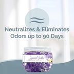 SMELLS BEGONE 12 oz Odor Eliminator Gel - Air Freshener - Absorbs & Eliminates Odors in Pet Areas, Bathrooms, Boats, RVs & Cars - Made with Essential Oils - Lavender Vanilla (2-Pack)