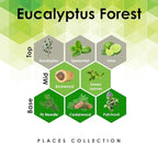 Aroma Retail Fragrance Oil Refill for Scent Machine Aroma Diffuser (4 fl oz, Eucalyptus Forest)