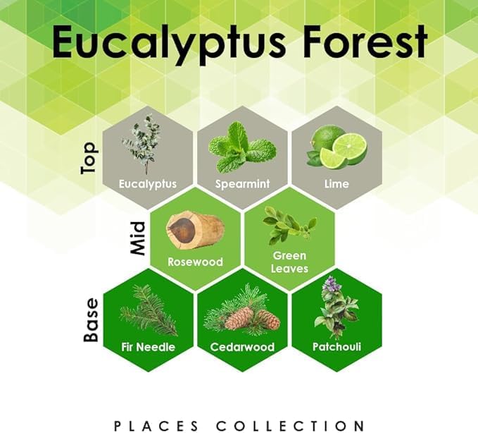 Aroma Retail Fragrance Oil Refill for Scent Machine Aroma Diffuser (4 fl oz, Eucalyptus Forest)