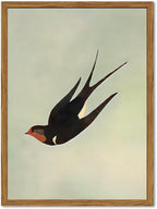 Framed Vintage Bird Wall Art, Sage Green Flying Swallow Pictures Wall Decor, Minimalist Japandi Nature Paintings Canvas Prints Modern Home Decor for Living Room Bedroom Bathroom Office 16x24 Inch