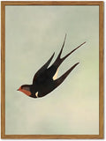 Framed Vintage Bird Wall Art, Sage Green Flying Swallow Pictures Wall Decor, Minimalist Japandi Nature Paintings Canvas Prints Modern Home Decor for Living Room Bedroom Bathroom Office 12x16 Inch