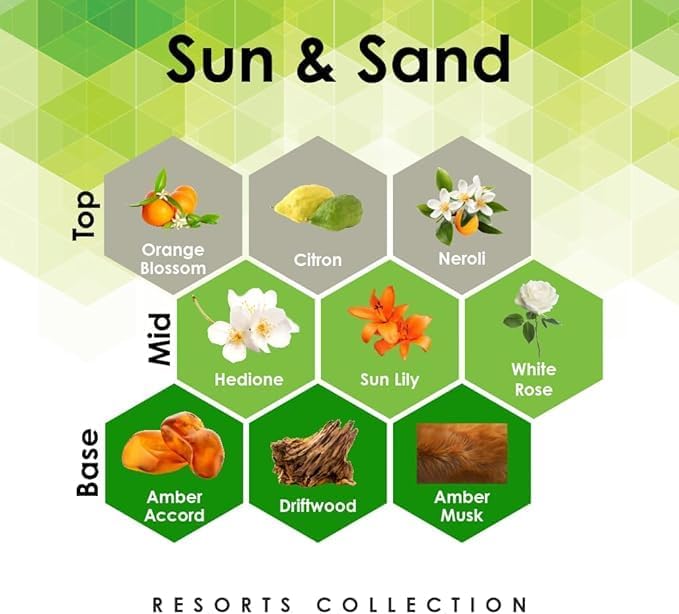 Aroma Retail Fragrance Oil Refill for Scent Machine Aroma Diffuser (27 fl oz, Sun and Sand)
