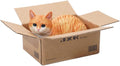 JXK Inbox Cat Statue Small Cat Figurine for Table Decor Durable Polyresin with Intricate Details Gifts for Cat Lovers
