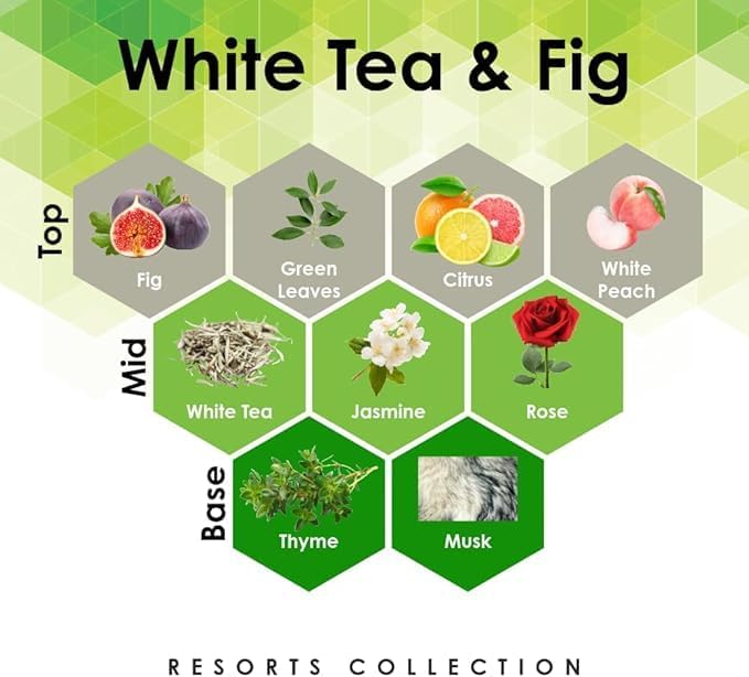 Aroma Retail Fragrance Oil Refill for Scent Machine Aroma Diffuser (27 fl oz, White Tea Fig)