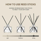 COCODOR Signature Reed Diffuser Set/Lemon Eucalyptus / 6.7oz /1 Pack/Home Fragrance Diffuser, Oil Scent Diffuser for Bathroom Shelf Decor