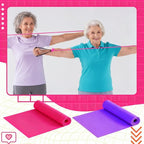 2 Pcs Resistance Band with Handles Chair Exercise Equipment for Seniors Physical Therapy Band Gifts for Elderly Women Rehab, Physical, Grandma, Grandpa