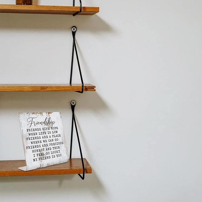 Friendship Signs for Women Friends, Friend Birthday Gift Ideas Office Gifts for Friends Sisters Coworkers Decorations On Shelf Table Desk for Living Room Bedroom Home Office dksg11