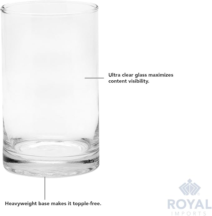 Royal Imports Flower Glass Vase Decorative Centerpiece for Home or Wedding - Cylinder Shape (5" Wide x 6" Tall, Clear)