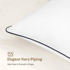 puredown® 22x22 Pillow Inserts Set of 2, Full Fluffy Down Alternative Decorative Pillows, Soft Plush Throw Pillows for Couch, Sofa, Bed and Home Decor