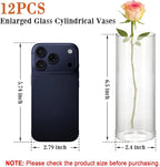 12 Pack 6.5" Tall x 2.4" Diameter Clear Glass Cylinder Vases-Flower Vases for Centerpieces, Hurricane & Floating Candle Holders for Weddings, Parties, Home Decor,Table Displays