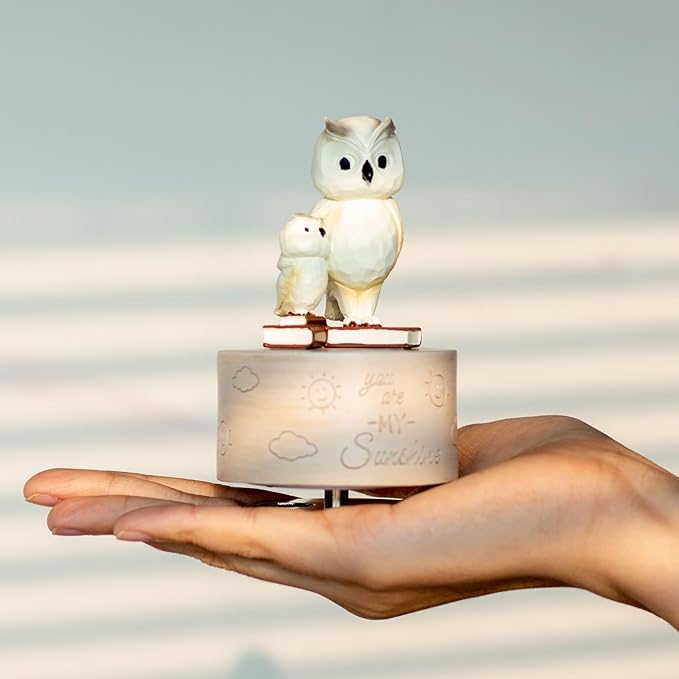 Owl Music Box Figurine, Sculpted Hand-Painted Musical Figure Gifts, for Birthday Mothers Day Anniversary, Play You are My Sunshine