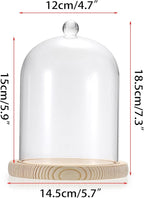 JUXYES Glass Display Dome Cloche with Wood Base, Clear Glass Dome Cloche Bell Sphere Jar Snow Globe Kit, Snowglobe Cloche Bell Jar Display for Fairy Light Plant Collectible Figures