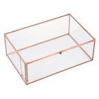 Hipiwe Vintage Glass Box with Lid - Rectangle Jewelry Display Box Vanity Lidded Box Glass Trinket Organizer Rose Golden Decorative Boxes for Keepsakes Perfume,X-Large