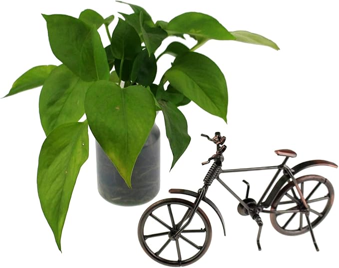 Tipmant Antique Vintage Bicycle Retro Iron Bike Model Office Home Décor Accents Room Desk Decoration Ornaments Handmade Handcrafts