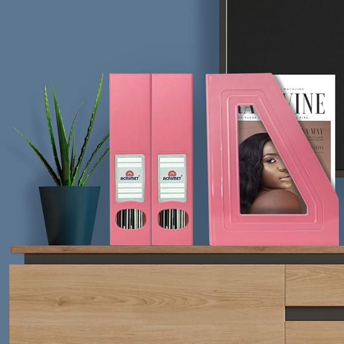 Acrimet Magazine File Holder Bin Storage, Vertical Rack for Documents, Folders and Mail, Durable Plastic Desk Organizer for Office & Home (Solid Pink Color) (2 Pack)