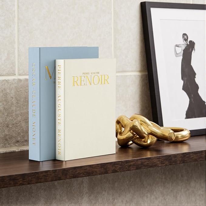 Aesthetic Decorative Books - Set of 2 Linen Fake/Faux Books Enhance Your Bookshelf, Coffee Table, Living Room, Bedside Table or Mantle, Stackable Modern Home Decor, Photo Storage and as a Keepsake Box