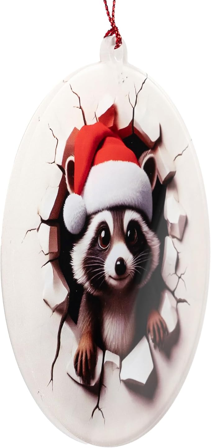 Racoon Christmas Ornaments 2025, Raccoon Funny Ornament with 2D Effect, Racoon Gifts for Women Men, Hanging Christmas Tree Decorations for Family Friends, Holiday Ornament for Raccoon Lovers