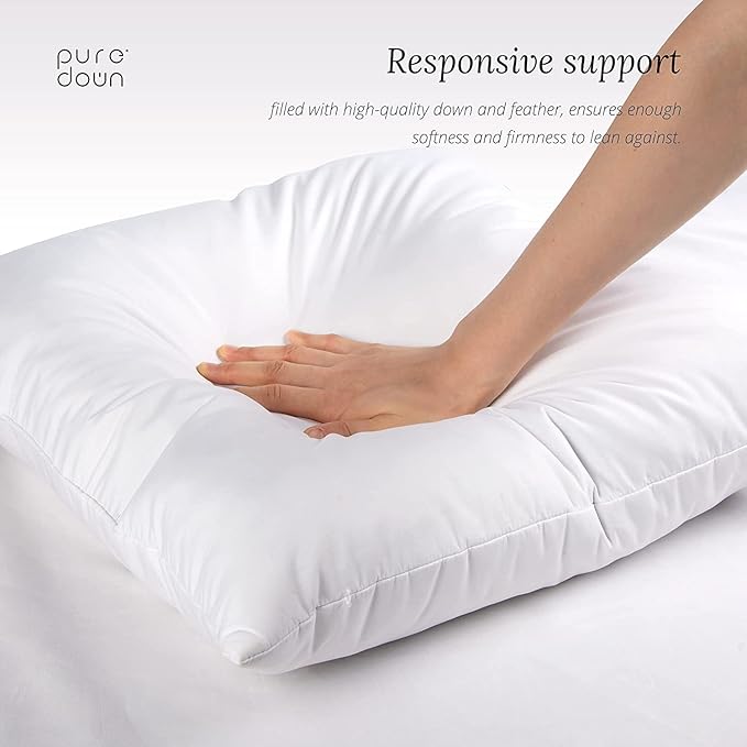 puredown® Euro Pillow Inserts 24 x 24 (Pack of 2, White), Feather Down Pillow Stuffer, White Throw Pillows for Bed, Couch, and Cushion