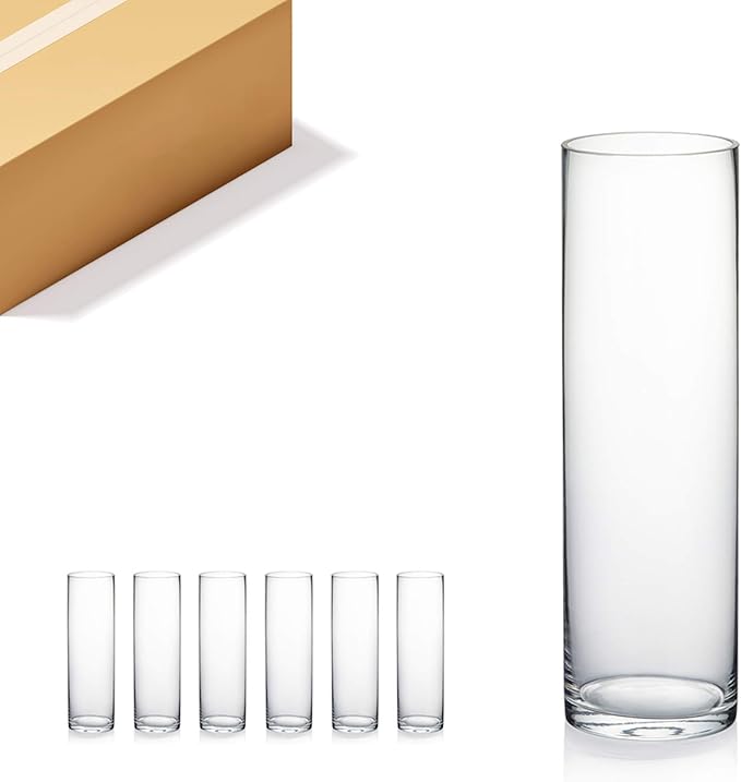 WGVI Quality Thick Weighted Clear Cylinder Glass Vases, 3" W x 10" H, Flower Bud Vase Skinny Narrow Floral Bouquet Container Centerpieces Tabletop Pen Brush Holder, Bulk Wholesale, 6 Pieces