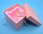 Sooharic Piano Music Box Crystal Song Fur Elise, Clockwork Mechanical Piano Toy Piano Ornament Classical Romantic Valentine Gift (for Elise)