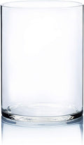 WGV Cylinder Vase, Width 9", Height 12", Clear Wide Large Diameter Flower Glassware, Floral Container, Planter Terrarium for Wedding Party Event, Home Accent Decor, 1 Piece