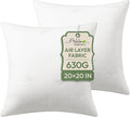 Ashler Throw Pillows Insert- 20x20 Pillow Inserts with Air Layer, Premium Bed and Couch Pillows - Indoor Decorative Throw Pillow, Square Cushion Sham Stuffer, Pack of 2, White