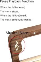 Sinzyo Anastasia-Once Upon a December Music Box Vintage Musical Boxs for Birthday Gift Valentine's Day Christmas Day(Musical Note Walnut Box)