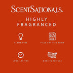 ScentSationals Molten Orange Scented Wax Melts - Sweet Oranges, Clementine, & Lemon Zest, 10oz (24 Cubes)